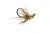 KJ March Brown Jig Nymphe