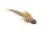 Brown Sculpin Streamer