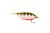 Polar Minnow Perch Streamer