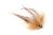 Predator Candy Heavy Brown Grizzly Tube Streamer