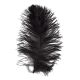Veniard Ostrich Herl Straußenfeder