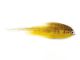 Brown Trout Articulated Hecht Streamer