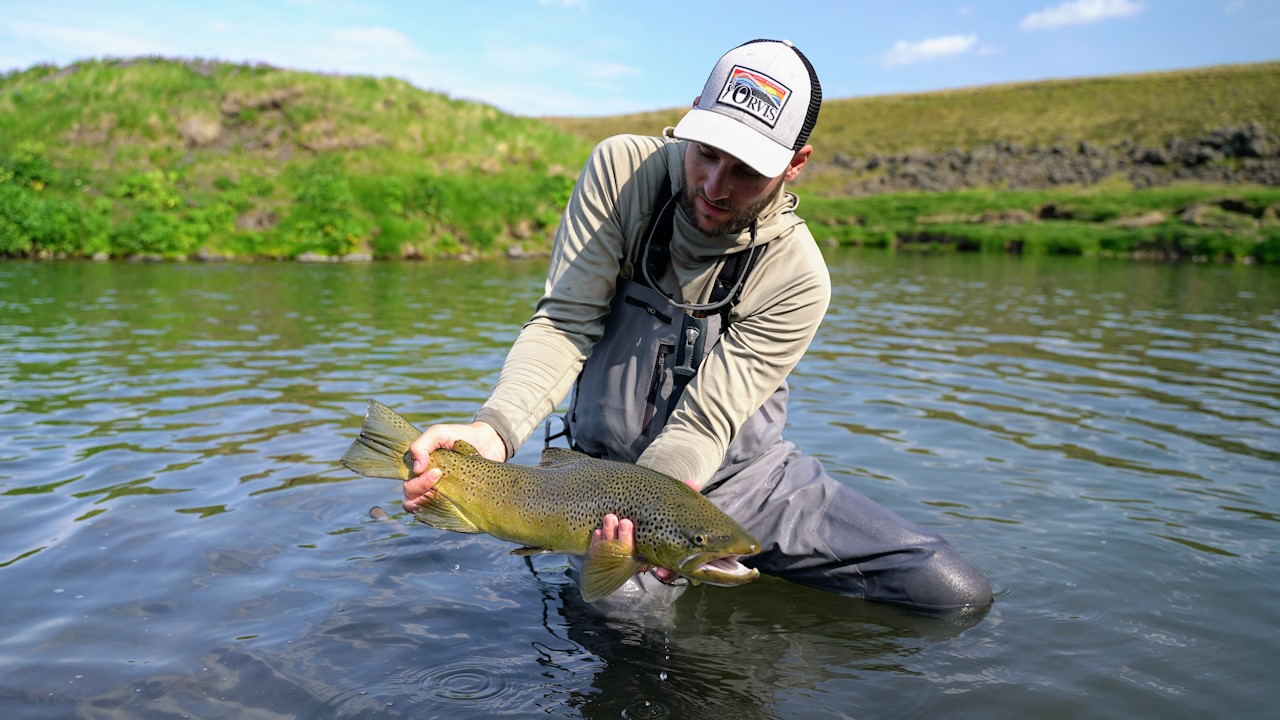 Fliegenfischen Laxa Island Fliegenfischen Bachforelle