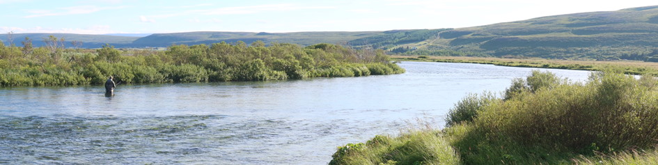 Fliegenfischen Island Fly Fishing Laxa