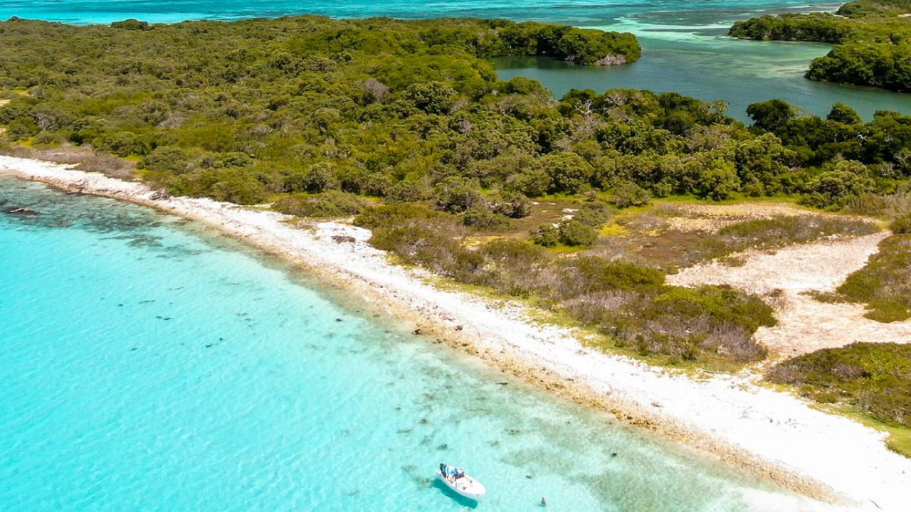 Fliegenfischen auf Los Roques Fliegenfischen auf Los Roques