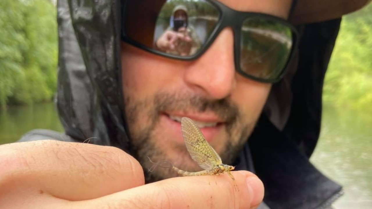 Fischa Dagnitz Mayfly