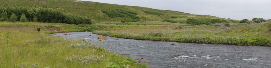 Fliegenfischen Island Fly Fishing Reykjadalsa