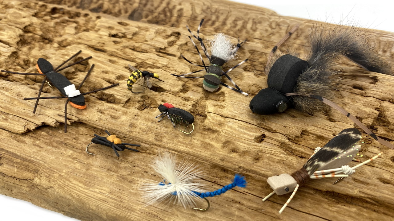 Terrestrials und Sommerfliegen