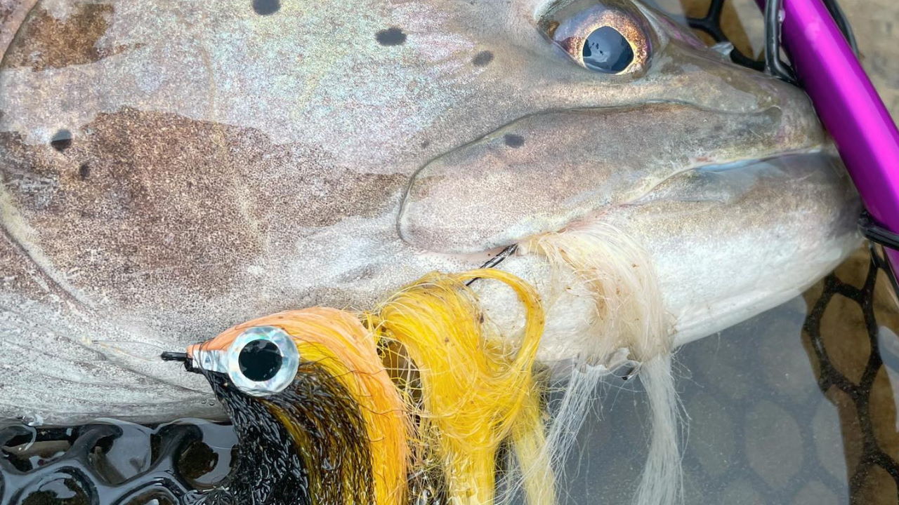 Streamer zum Huchenfischen