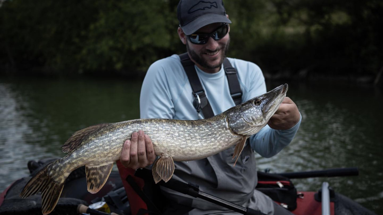 Fliegenfischen auf Hecht mit der Orvis Hydros Bank Shot.