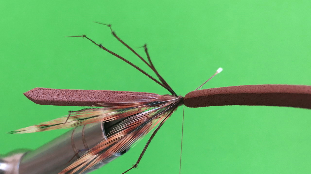 Daddy Longlegs Bindeanleitung