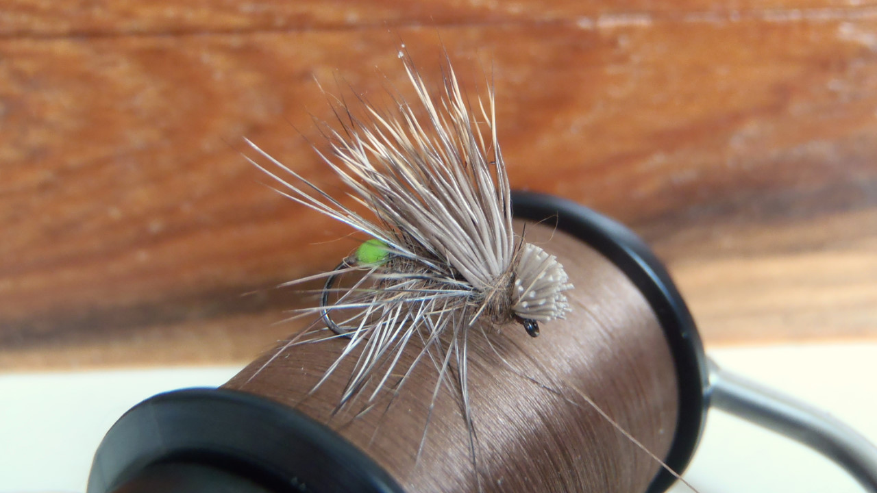 Anleitung zum Fliegenbinden der Grannom Caddis.