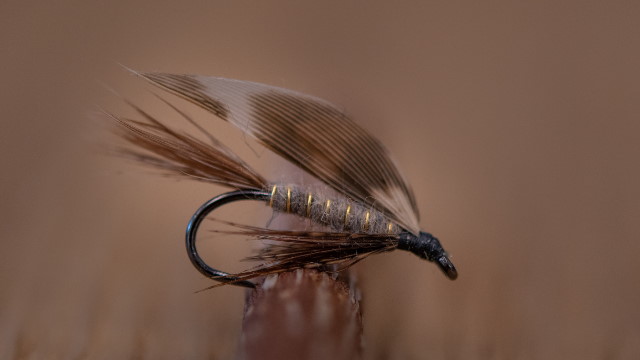 Bindevideo für die March Brown Nassfliege.
