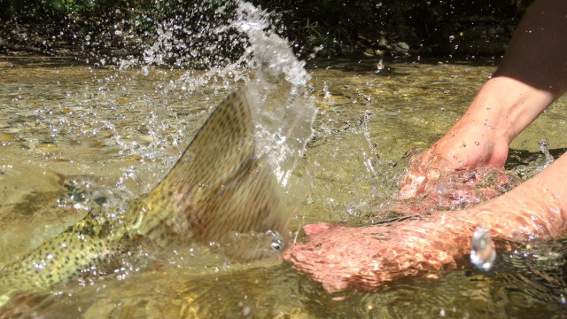 Top 10 Fliegen im Herbst Fliegenfischen im Herbst